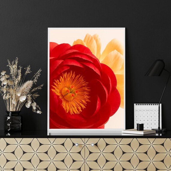 Christmas Gift For Her Red Peony Festive Floral Poster