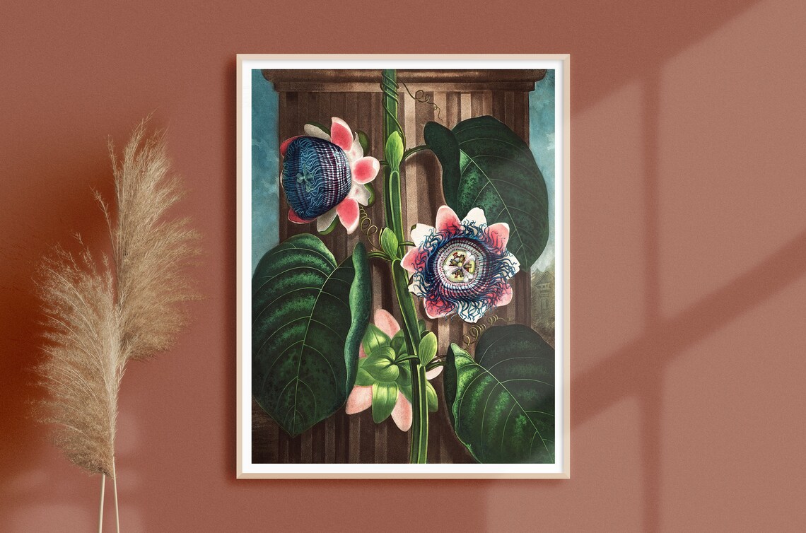 Vintage Passion Flower Botanical Tropical Art Print - Image 2