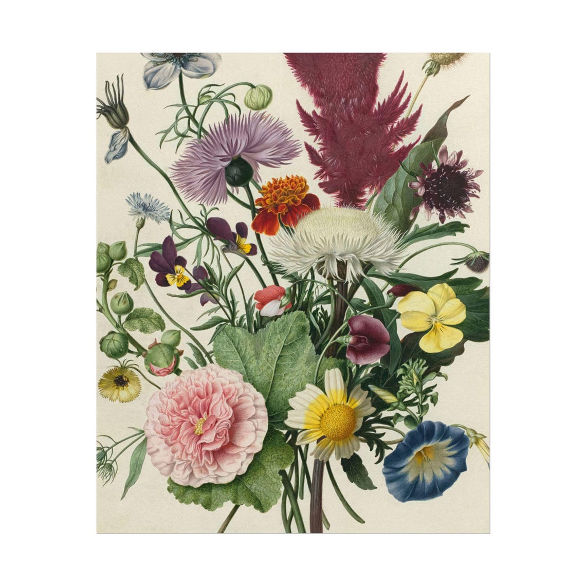 Vintage Botanical Bouquet Celosia Marigold Pansy Cream Floral Poster - Image 5