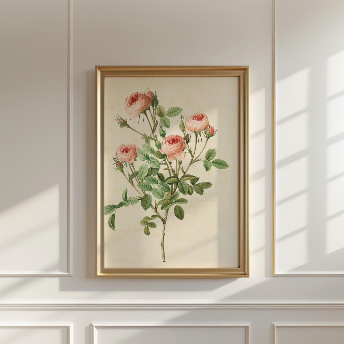 Blush Pink Garden Rose Stems Vintage Botanical Illustration Poster - Image 5