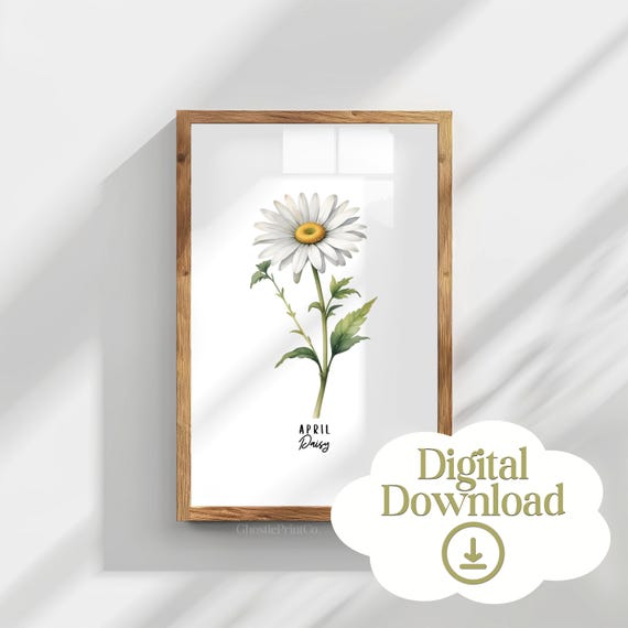 April Daisy Birth Flower Botanical Wall Art Print