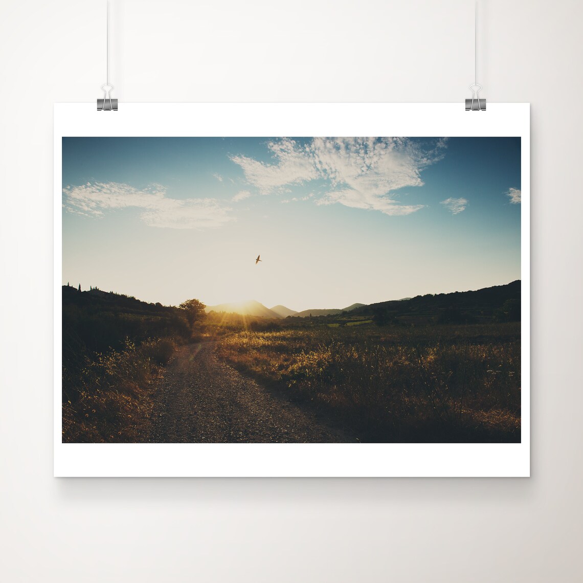 Country Road Sunset with Lone Bird Flying Cinematic Photo Poster