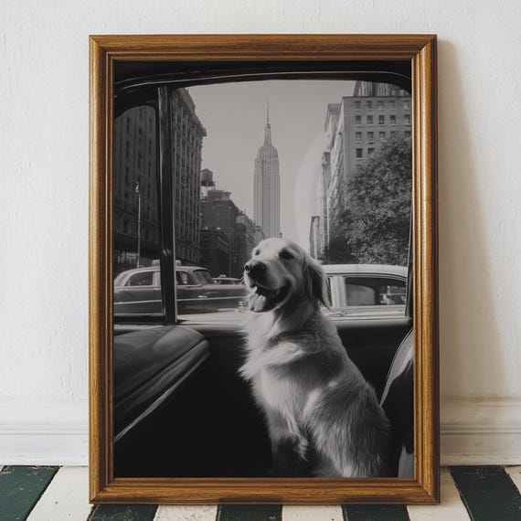 Golden Retriever Taxi Art Print Vintage Nyc Dog Photo Digital Download