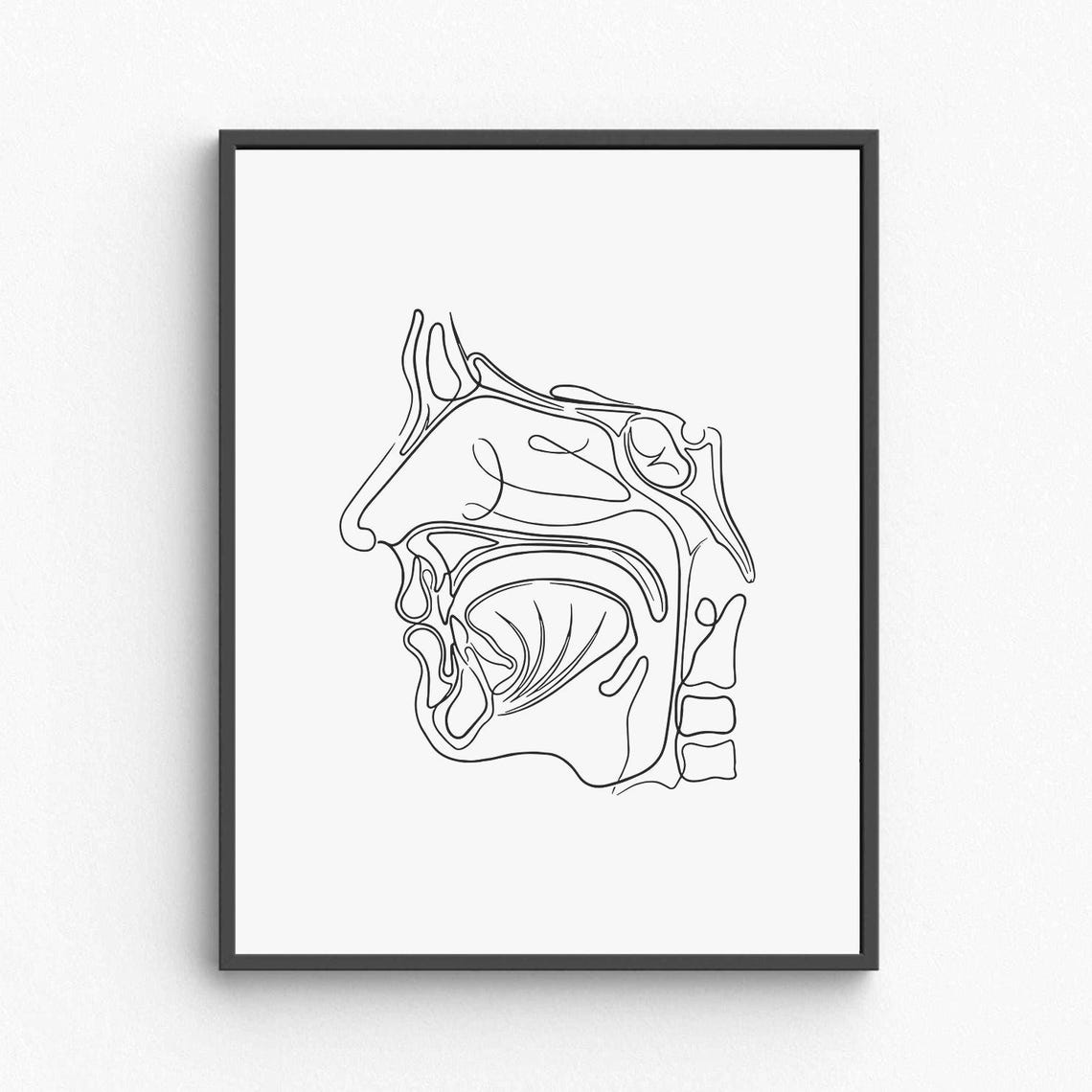 Nose Anatomy Line Art Medical Head Cross Section Drawing Poster