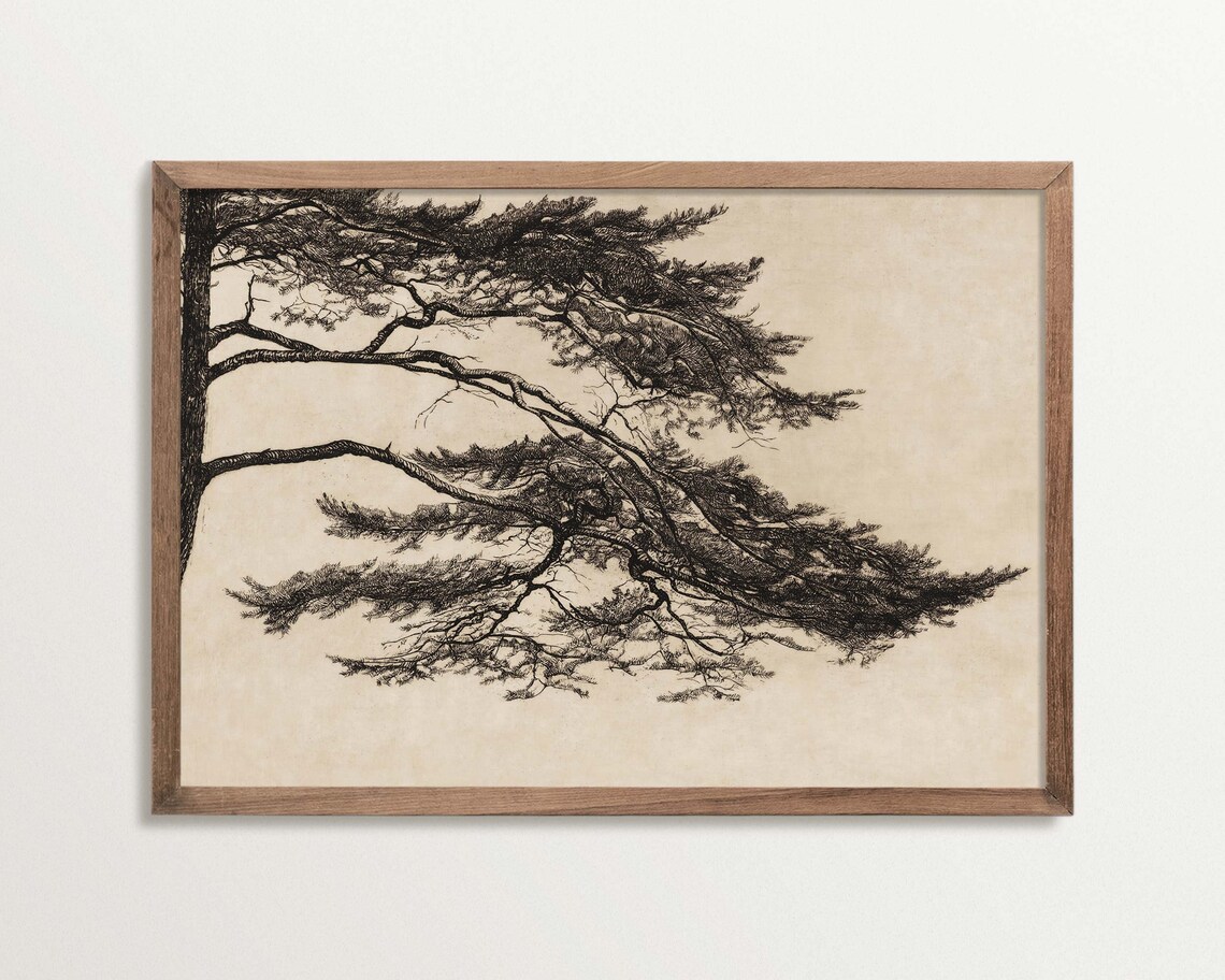 Vintage Pine Tree Sketch Poster Print, Cottagecore Decor