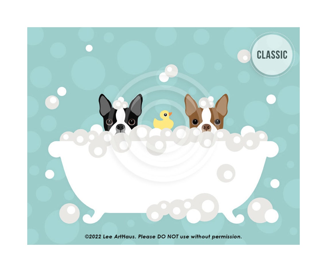 Two Boston Terriers Peeking Bubble Bath Duck Teal Bathroom Dog Poster