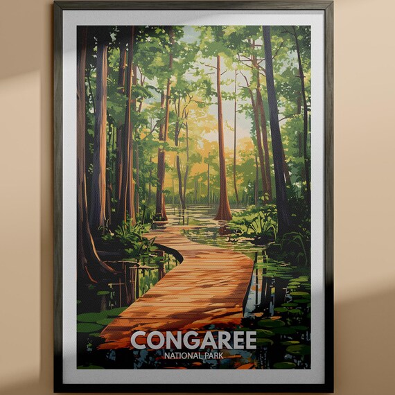 Congaree National Park Boardwalk Forest Illustration Travel Poster