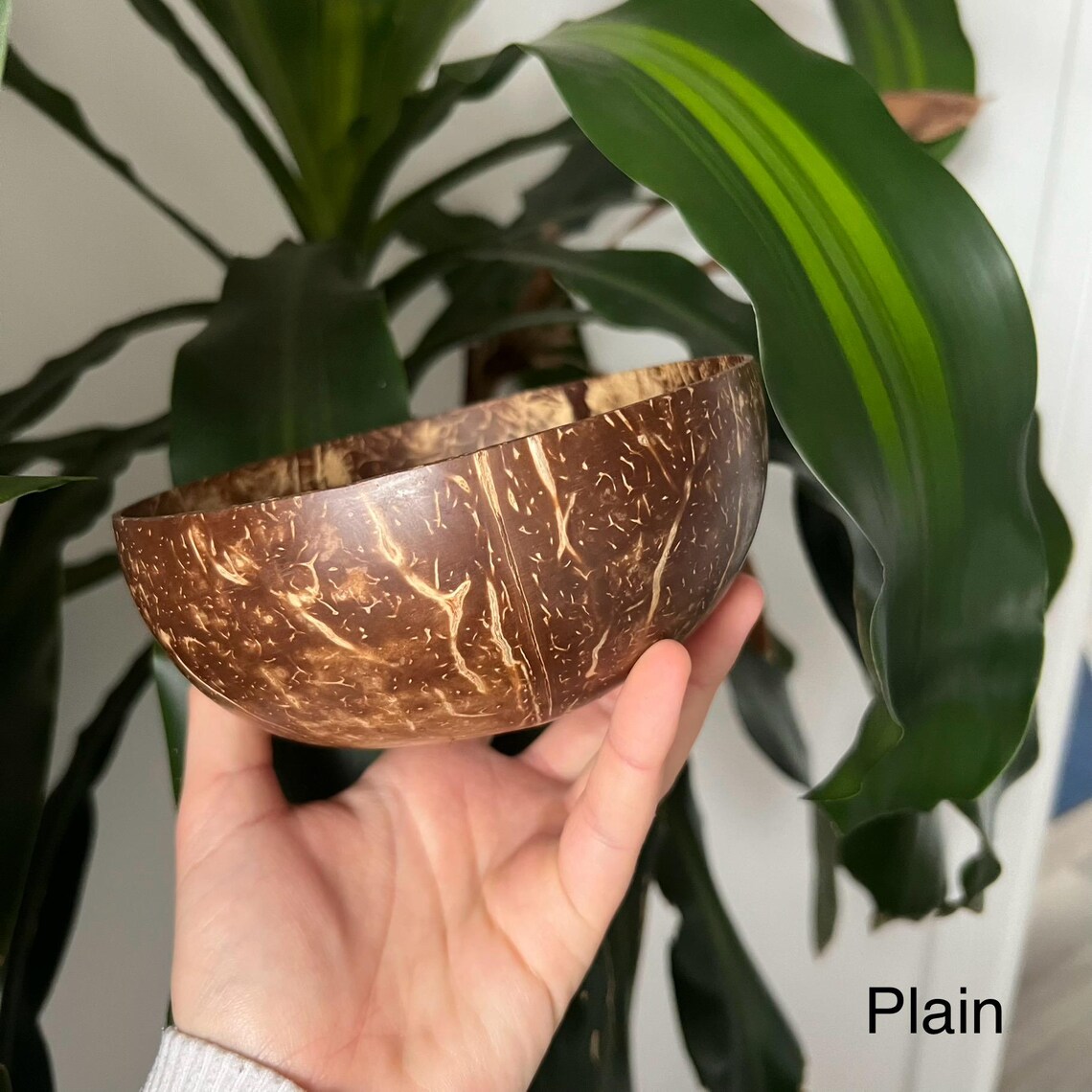 Natural Coconut Bowls, Eco-Friendly Serving Bowl - Image 4