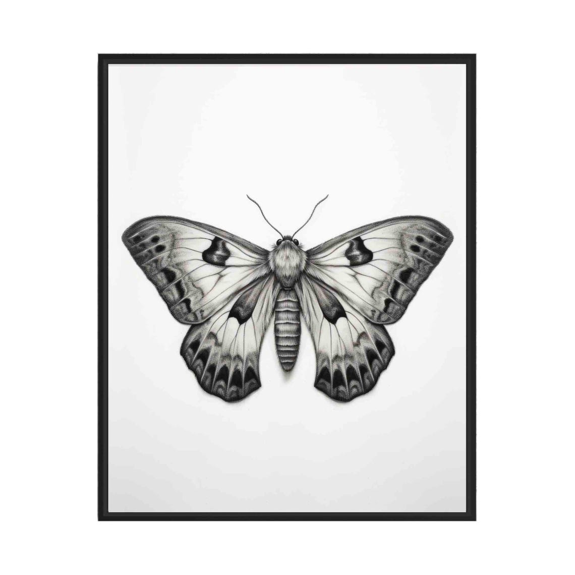 Moth Black And White Animal Art Print Wall Art Poster Original Paint Artwork Artwork Decor