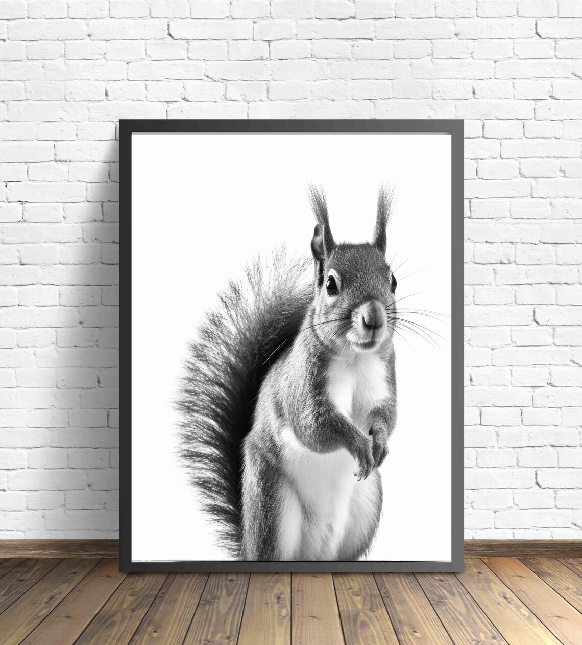 Squirrel Black and White Bushy Tailed Woodland Portrait Poster - Image 2