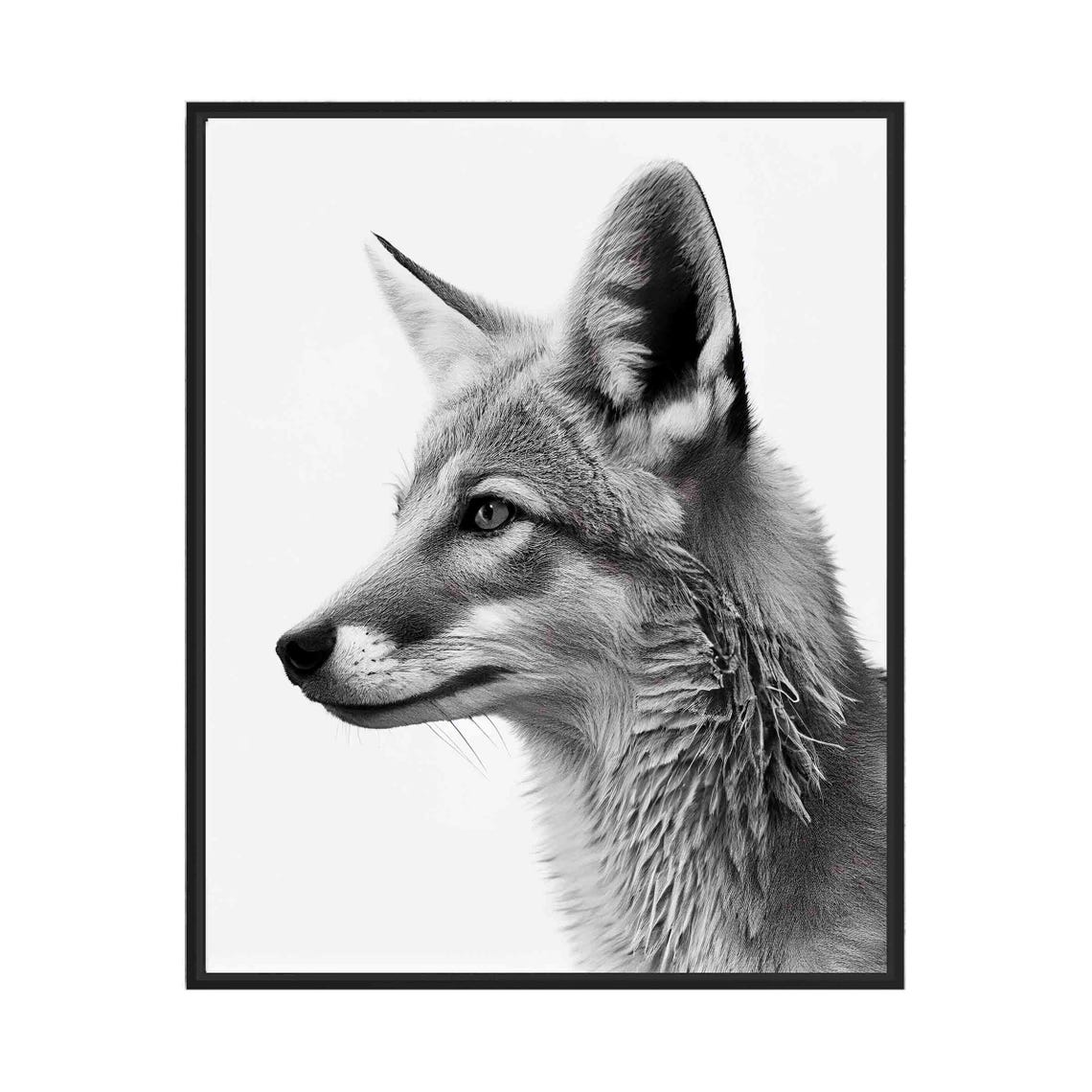 Wild Canine Profile Portrait in Black and White Sketch Poster