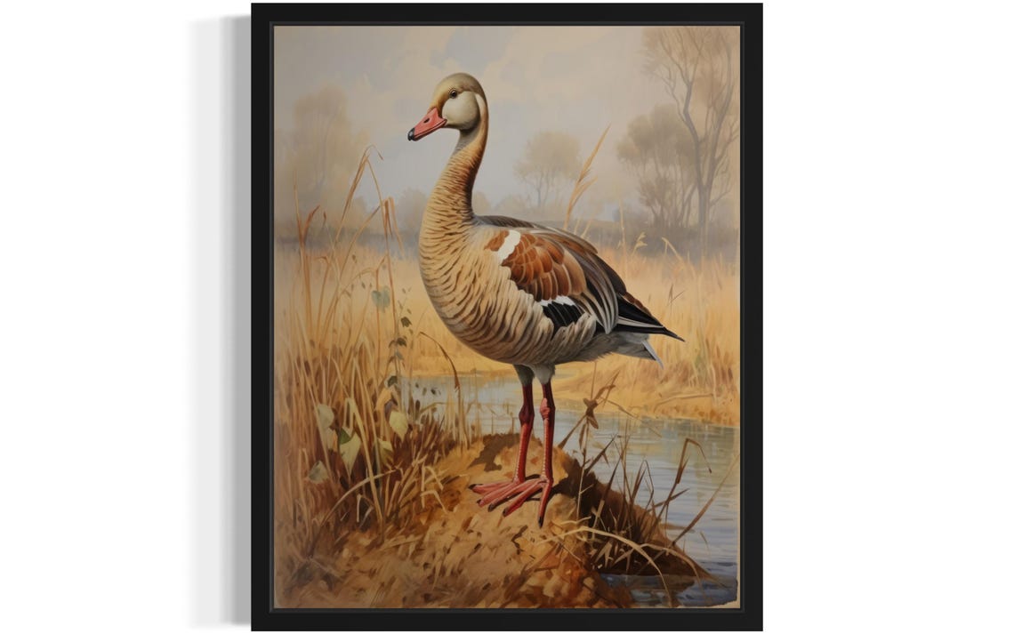 Egyptian Goose Standing in a Golden Autumn Marsh Vintage Poster
