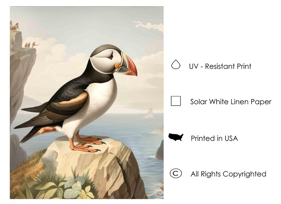 Atlantic Puffin on a Sea Cliff Vintage Bird Illustration Poster - Image 3