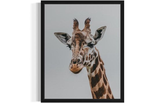 Gentle Giraffe Face Portrait Minimalist Wildlife Photo Poster