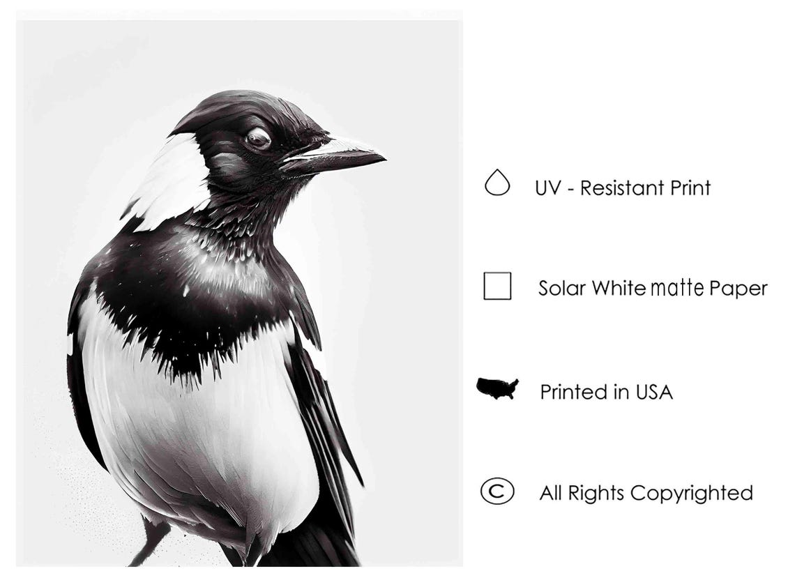 Bold Magpie Bird Portrait in Black and White Fine Art Poster - Image 3