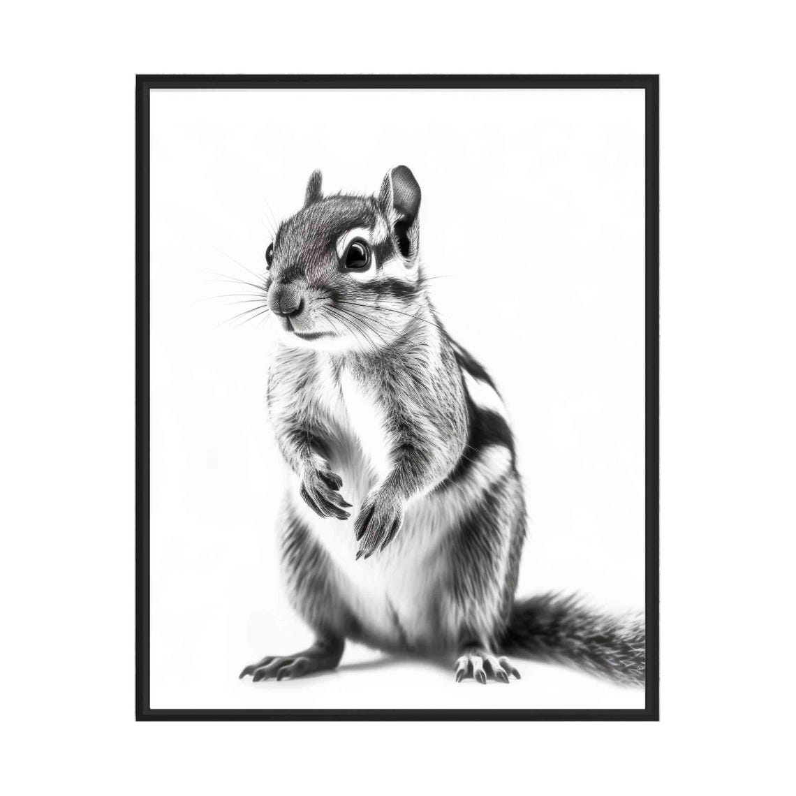 Adorable Chipmunk Standing Upright in Black and White Art Poster