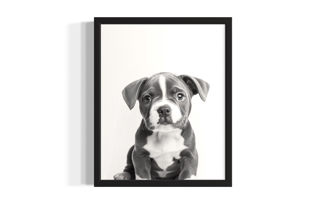 Sweet Bulldog Puppy Portrait Black And White Dog Photo Poster