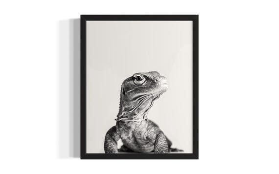 Komodo Dragon Animal Black And White Poster Art Print Living Room Wall Original Paint Artwork Decor