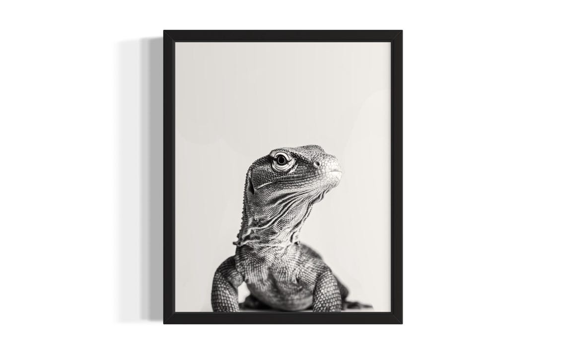 Komodo Dragon Black And White Close Up Portrait Reptile Poster