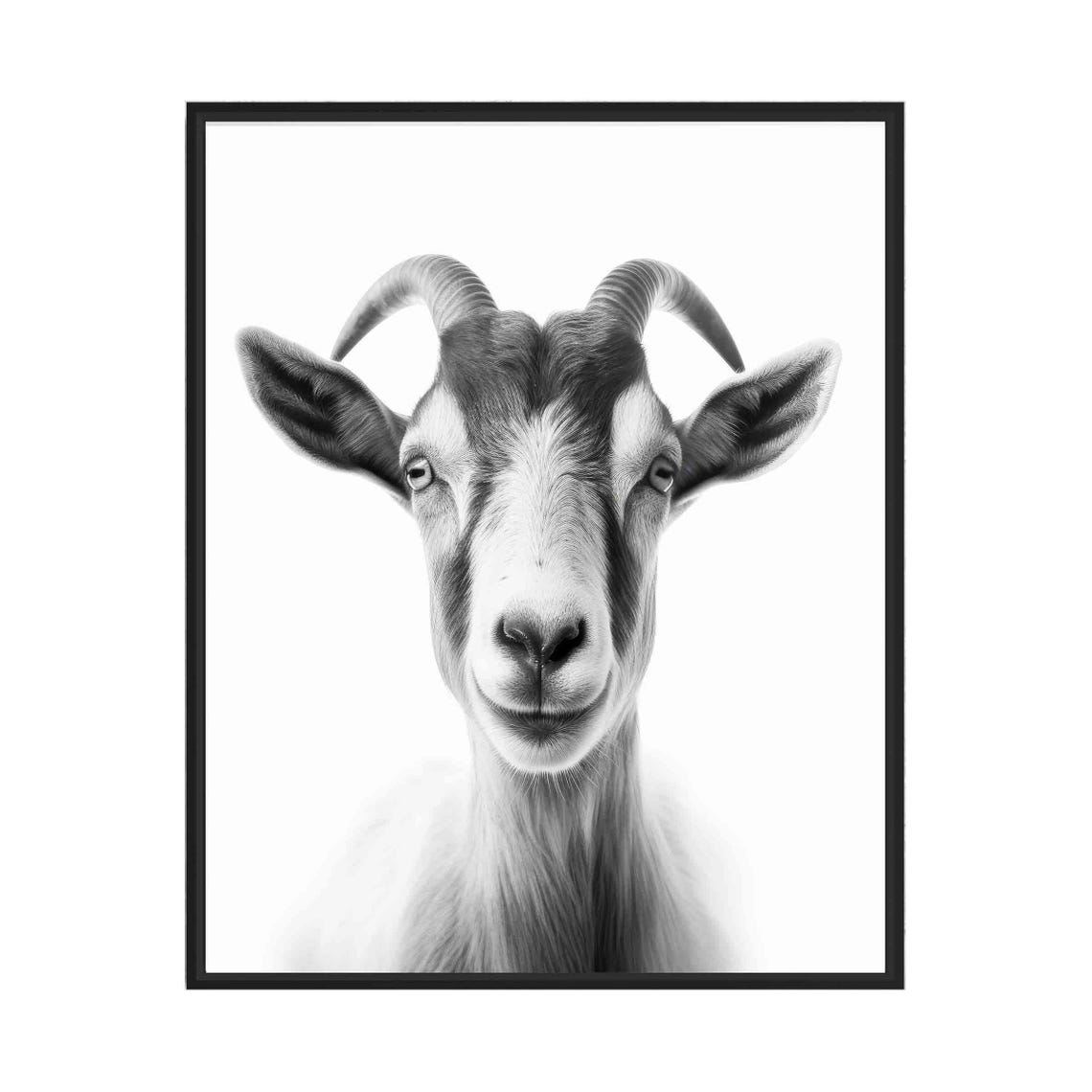 Goat Black and White Farm Animal Front Portrait Minimalist Poster