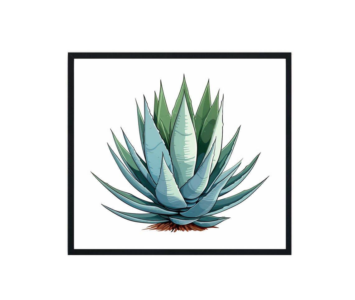 Agave Plants Art Print, Botanical Decor