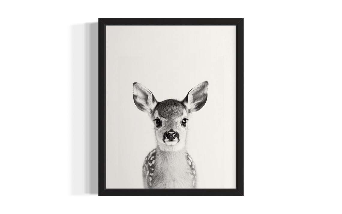 Baby Deer Fawn Portrait Black And White Cute Little Animal Print