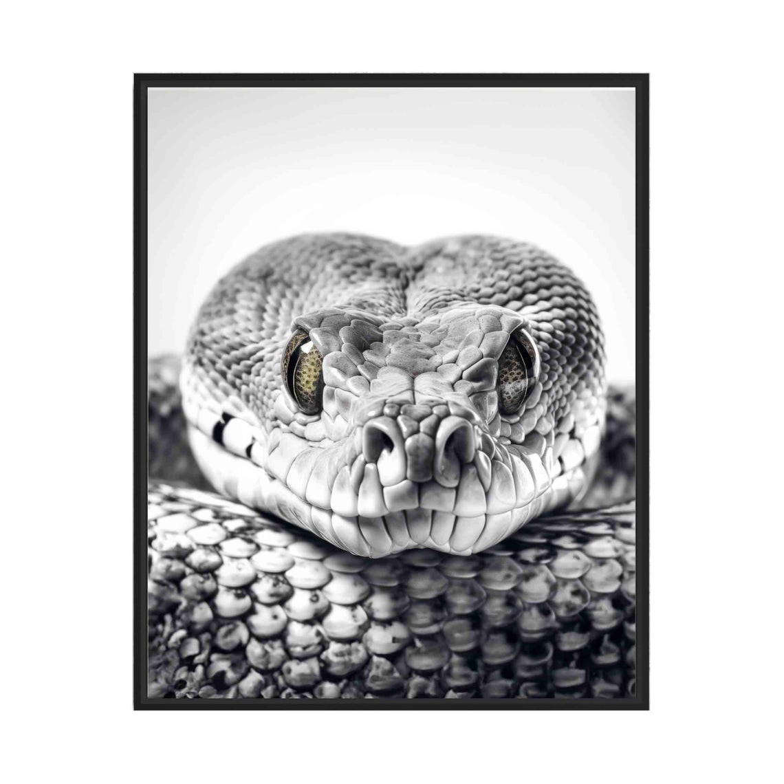 Python Snake Black and White Reptile Close Up Portrait Poster