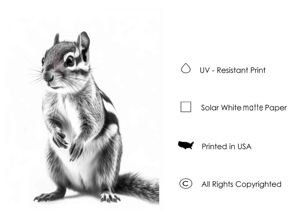 Adorable Chipmunk Standing Upright in Black and White Art Poster - Image 3