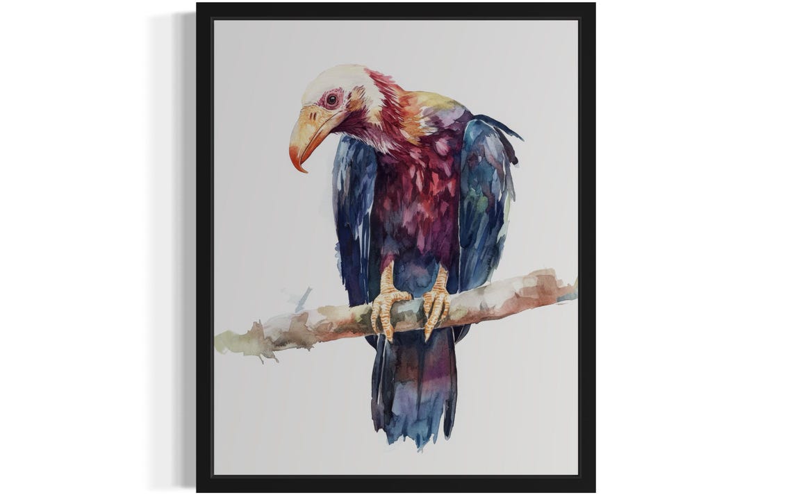 Condor Raptor Perched on a Branch Moody Watercolor Bird Poster