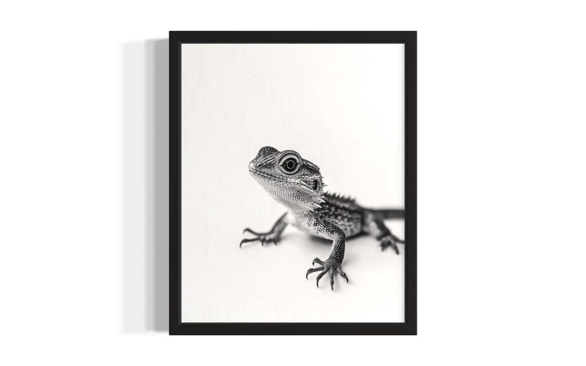 Bearded Dragon Lizard Black And White Reptile Portrait Poster