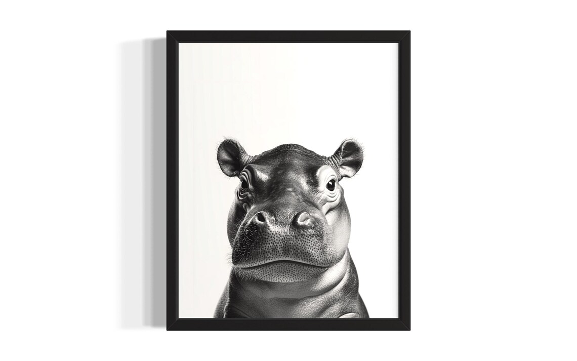 Baby Hippo Black And White Close Up Portrait Cute Wildlife Poster