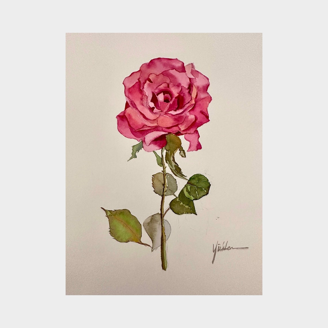 Single Pink Rose Bloom Close Up Watercolor Floral Art Poster - Image 5