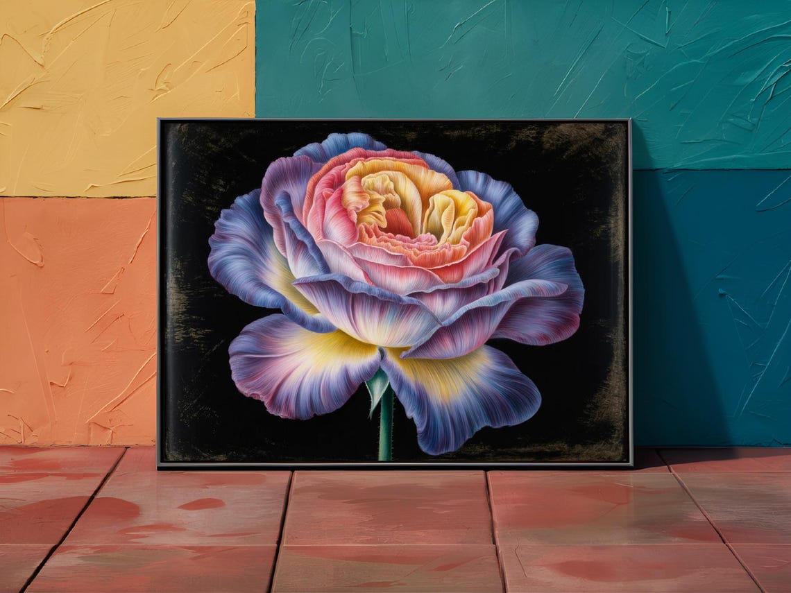 Rainbow Rose Bloom Moody Black Background Botanical Art Print