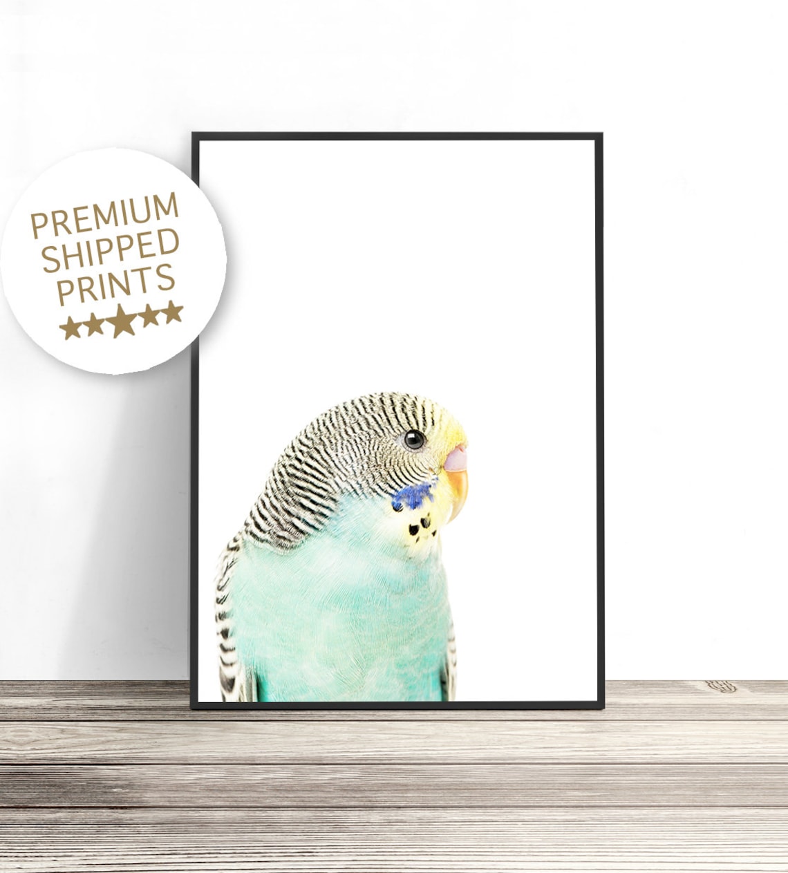 Budgie Art Print, Australian Bird Photography