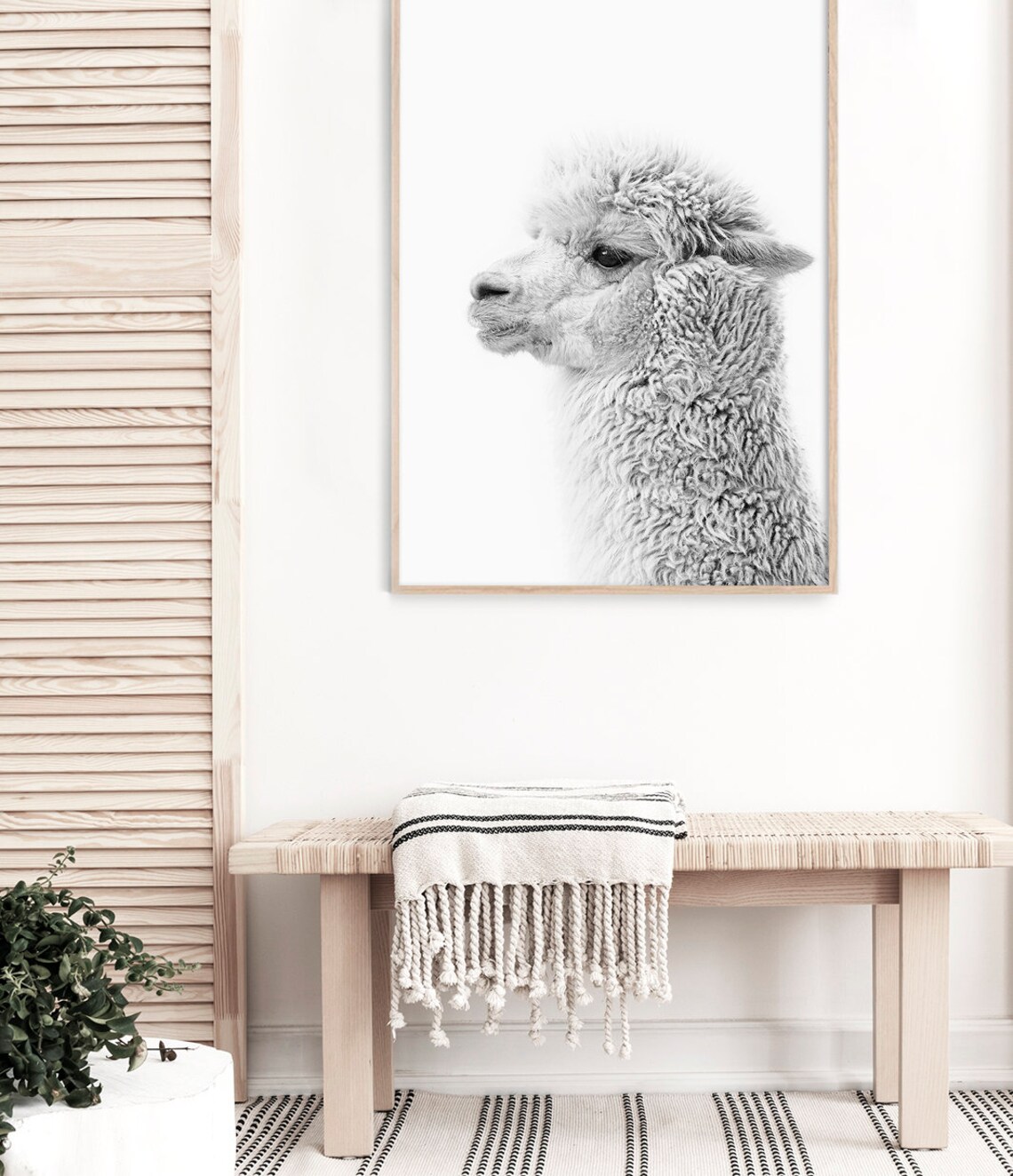 Black And White Alpaca Side Profile Minimal Animal Photography Art Print - Image 3
