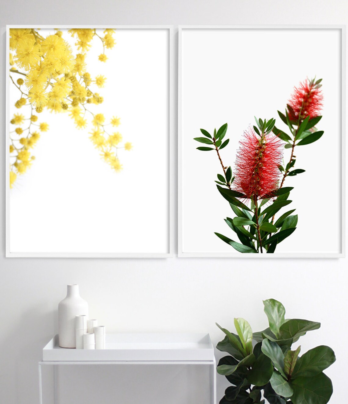 Bottlebrush Botanical Art Print, Australian Native - Image 3