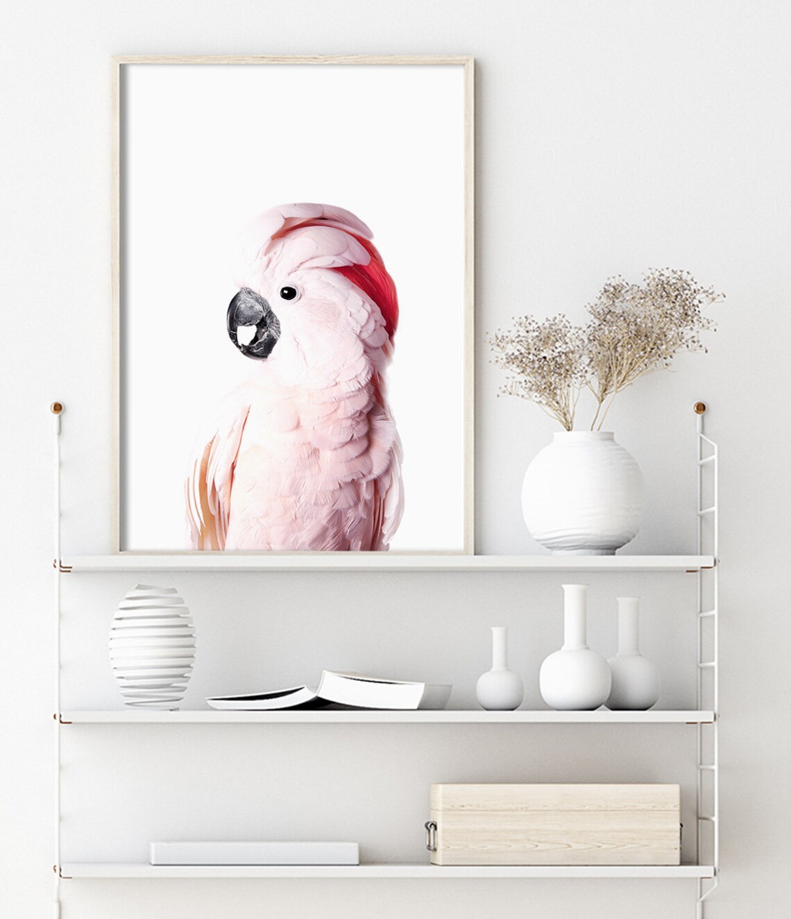 Pink Cockatoo, Native Australia Bird Poster Print - Image 3