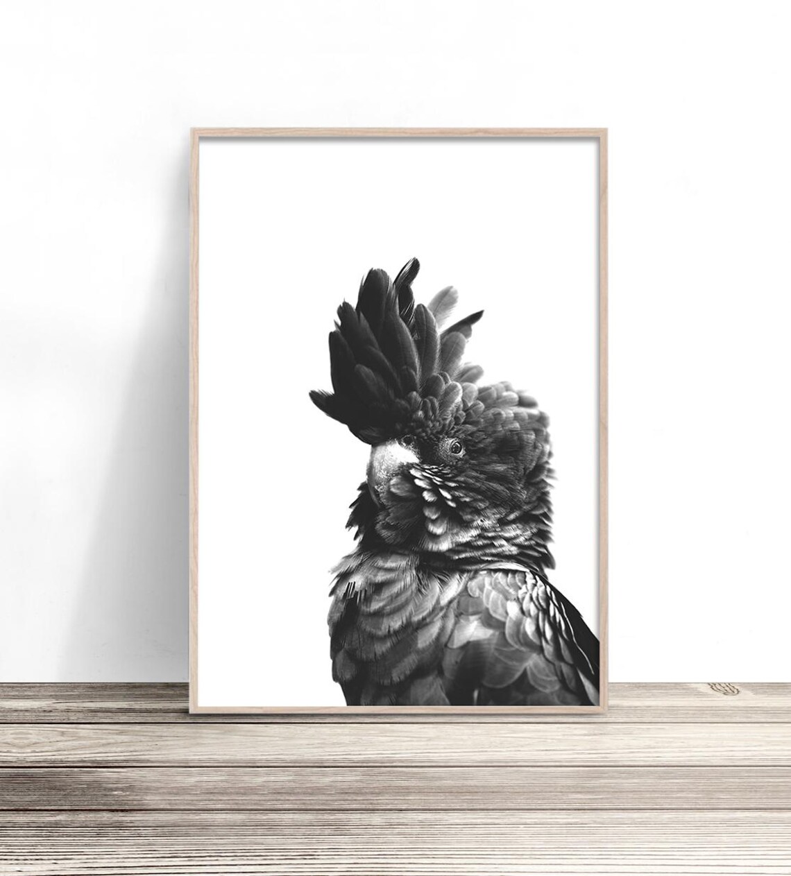 Black Cockatoo Bird Photography Art Print, Australia