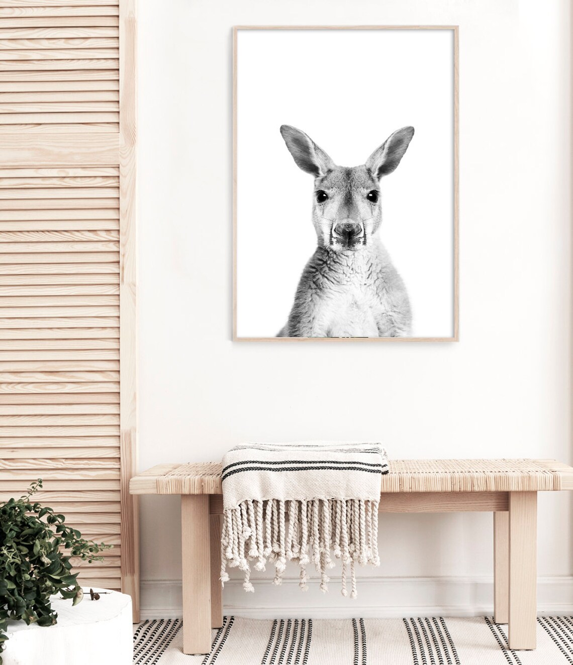 Kangaroo Australian Wildlife Photography Art Print - Image 2