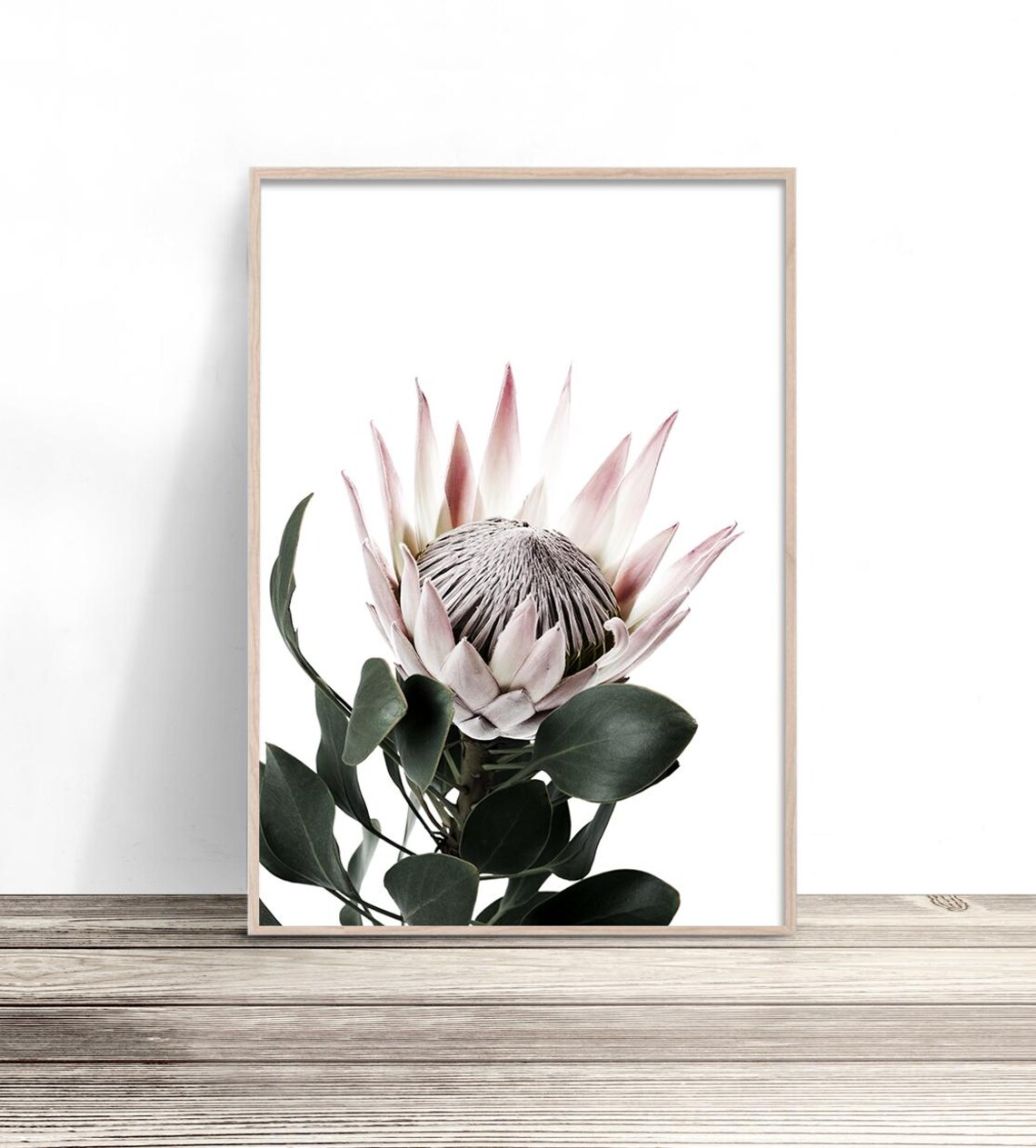 King Protea Print, Floral Bedroom Wall Decor