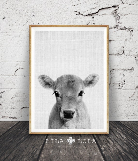 Baby Cow Nursery Decor Art Print