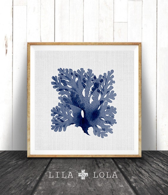 Seaweed Print, Coastal Nautical Wall Art