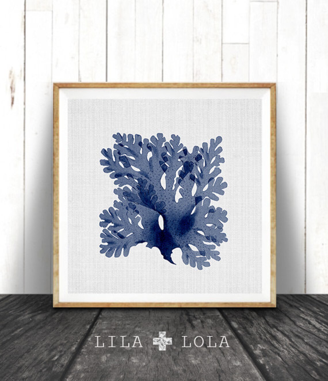 Seaweed Print, Coastal Nautical Wall Art