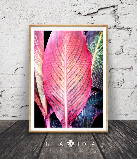 Tropical Leaf Print, Surf & Tropical Wall Art