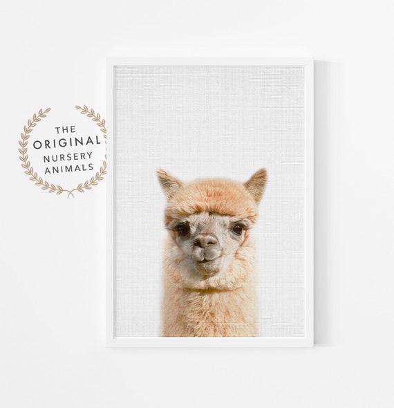 Alpaca Nursery Print, Farm Animal Wall Art