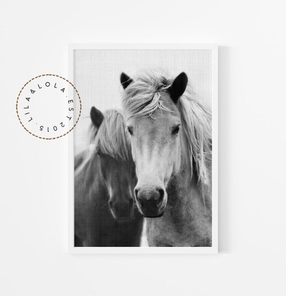 Black And White Horse Art Print