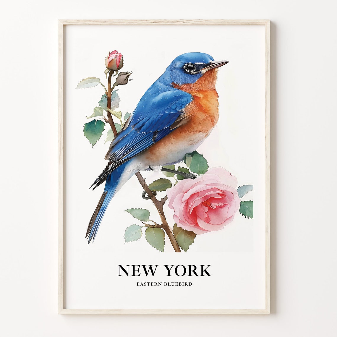 New York Eastern Bluebird and Rose State Bird Watercolor Poster