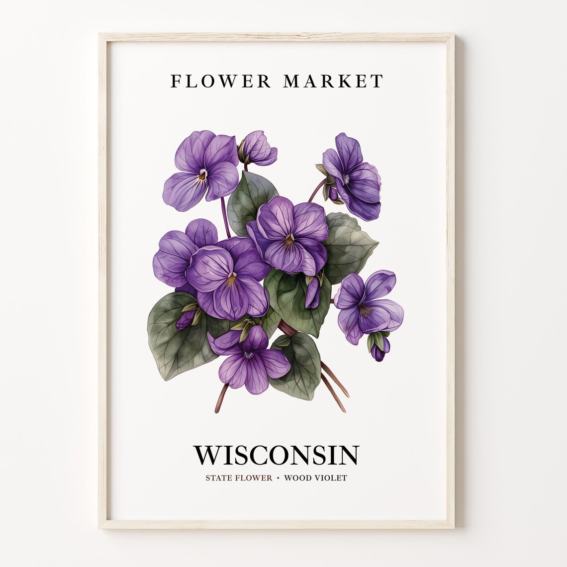 Wisconsin State Flower, Wood Violet Botanical Art Print