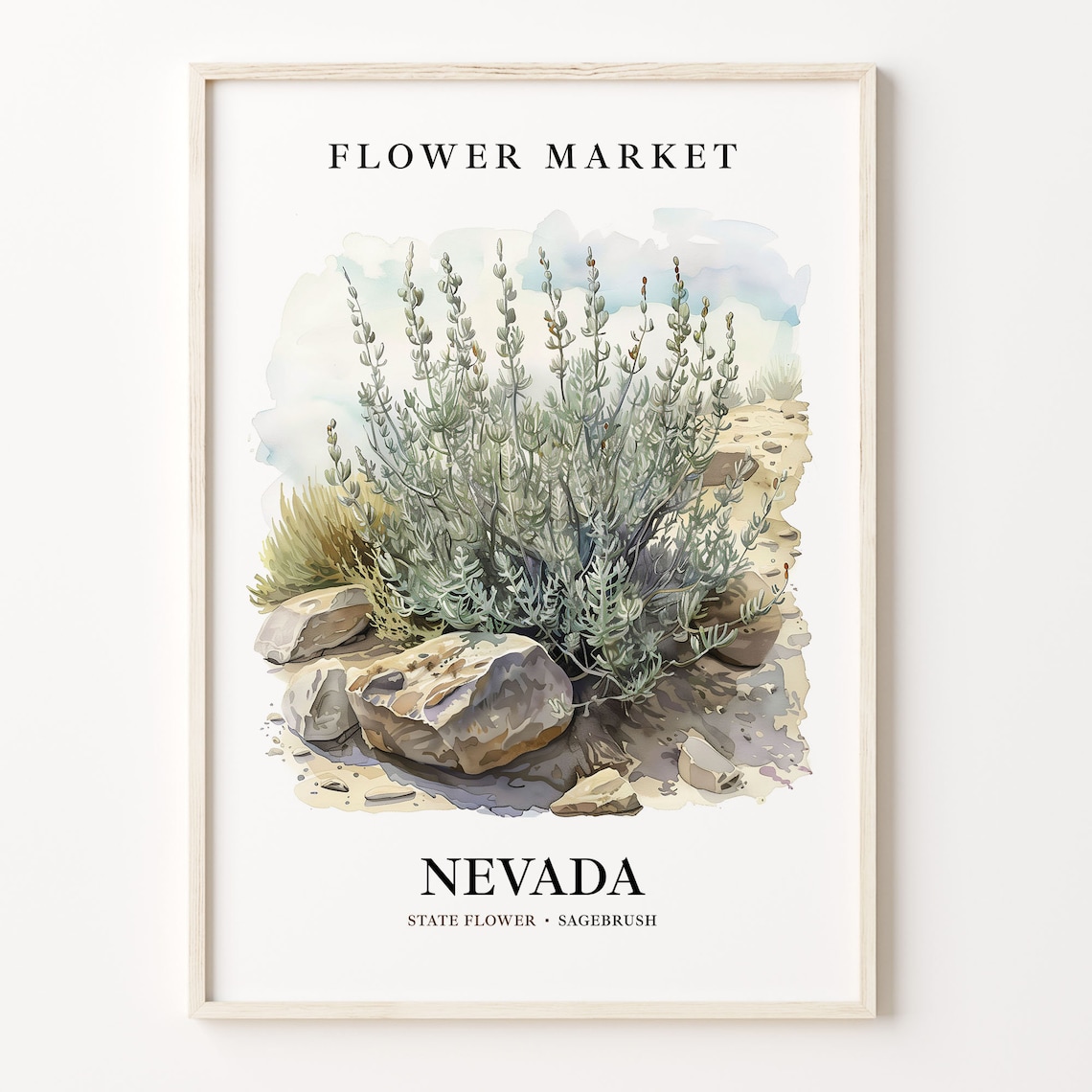 Nevada State Flower Sagebrush Botanical Art Print