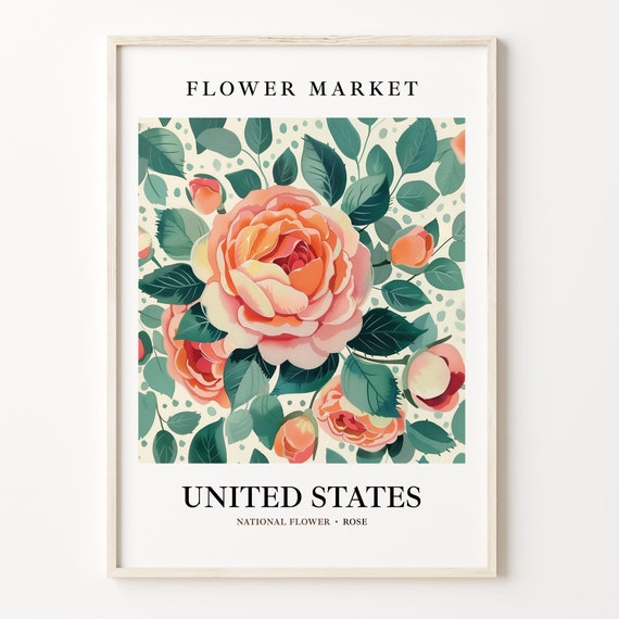 United States National Flower Rose Art Print, 1960s Botanical